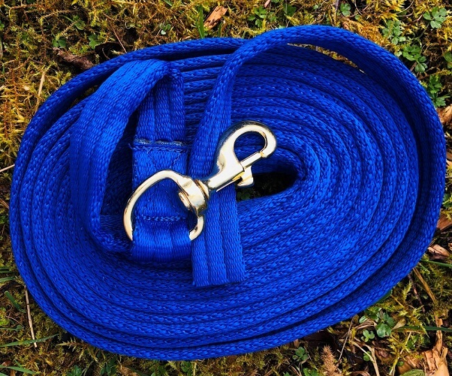 17ft Intelligent Horsemanship Lead Line