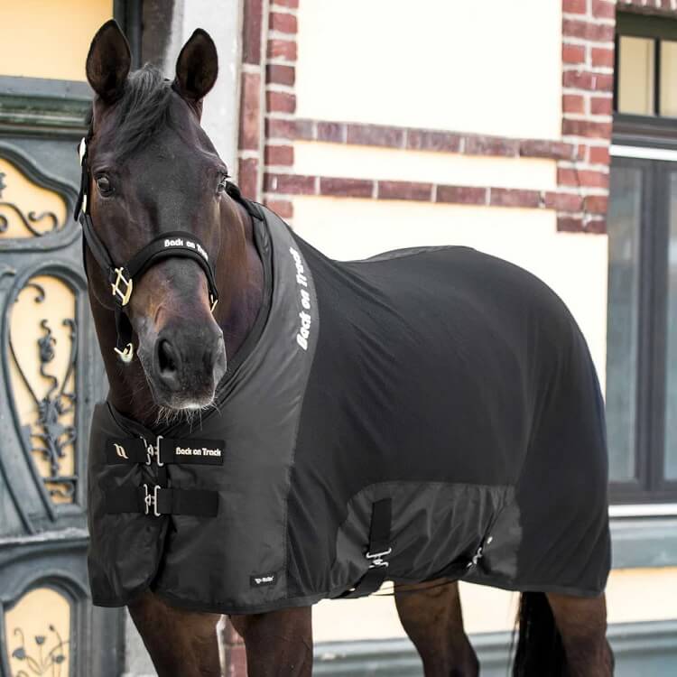 Back on Track Mesh Horse Rug – Royal Deluxe