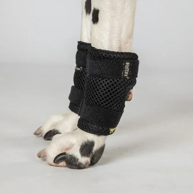 Back On Track Dog Leg Braces (Pair) - Image 4