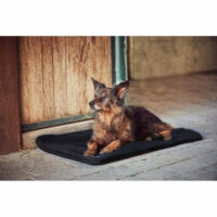 Catago Fir-Tech Pro Dog Pillow Warmer / Dog Bed