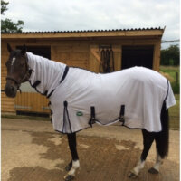 Cameo Mesh Horse Fly Rug And Neck Cover