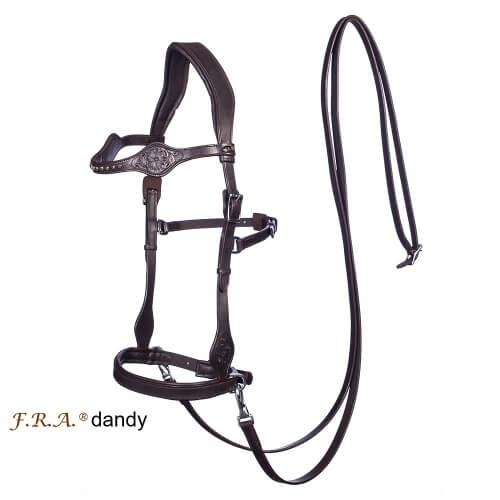 Dandy Side Pull Bitless Bridle And Reins | Charlies Products