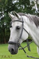 Bodanza Hackamore Rope Bridle And Reins