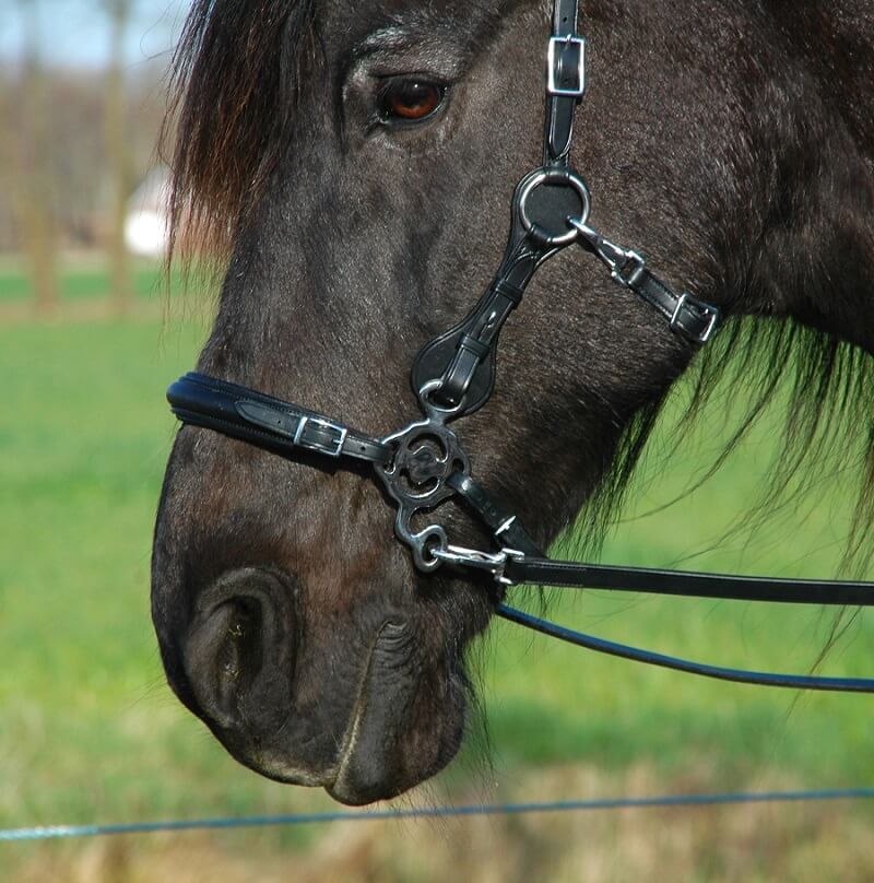 thumbnail image 2 of HorseBiz Flower Shank Leather Hackamore – Bitless Bridle With Choice Of Shank Color 2 of 6