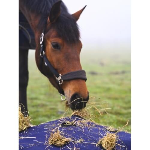 Horse Hay Pillow