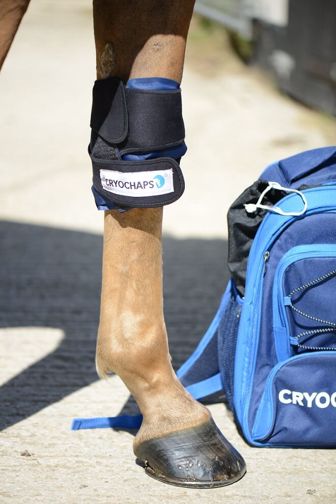 Cryochaps Absolute Ice Boots / Wraps (Pair) - Image 3
