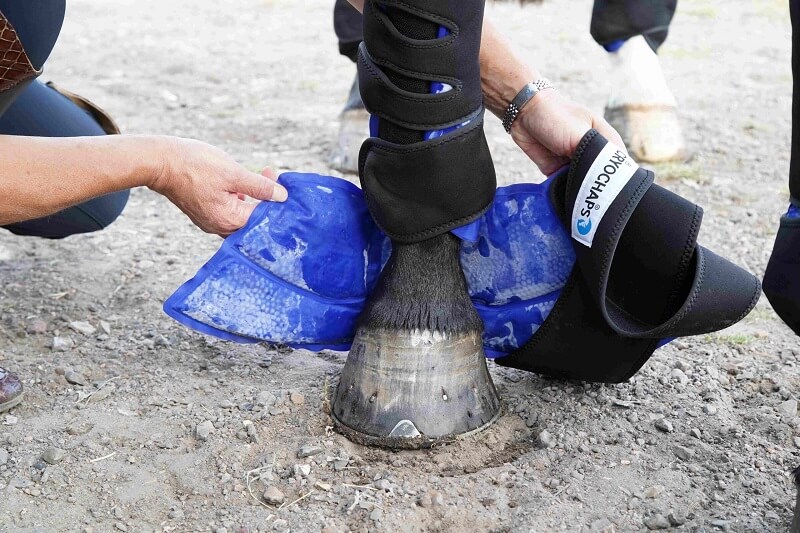 Cryochaps Absolute Ice Boots / Wraps (Pair) - Image 5