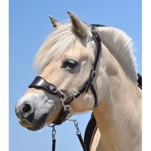 Edix ED4 Classic Hackamore Bridle