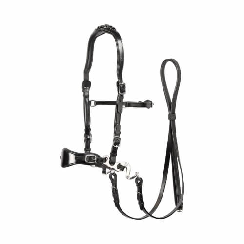 Edix ED4 Classic Hackamore Bridle - Image 4