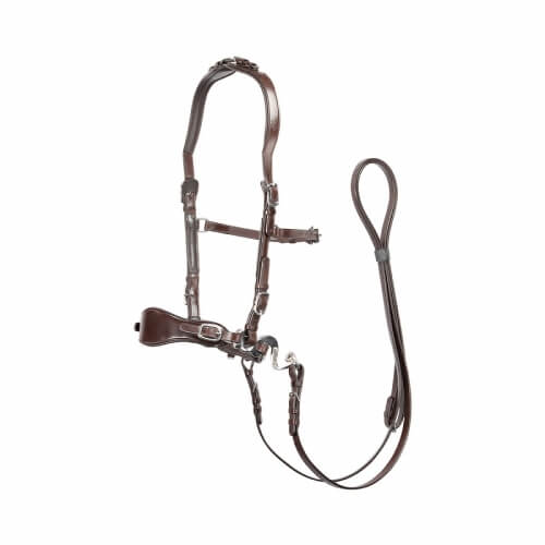 Edix ED4 Classic Hackamore Bridle - Image 6
