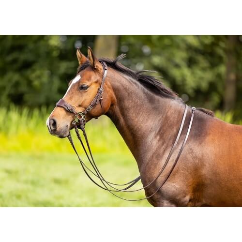 Edix ED4 Classic Hackamore Bridle - Image 5