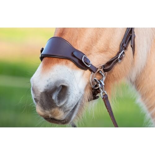 Edix ED4 Classic Hackamore Bridle - Image 8