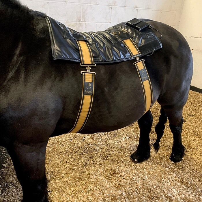 Epiony Heat Pad Plus