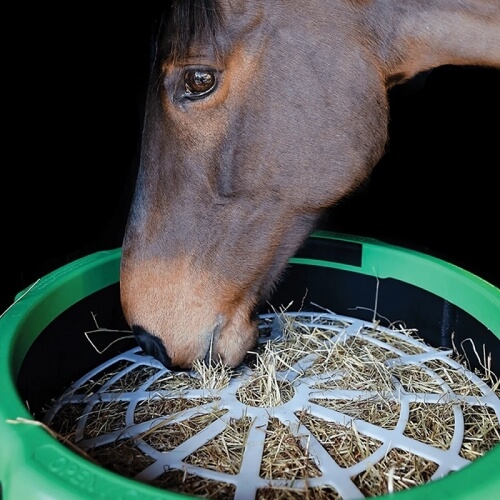 Haygain Forager Slow Feeder - Image 4