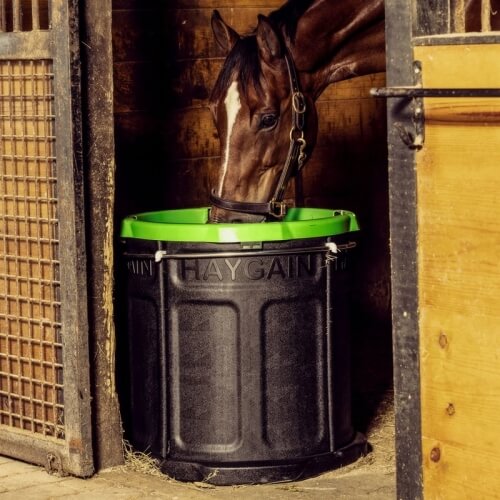 haygain forager horse new-500x500