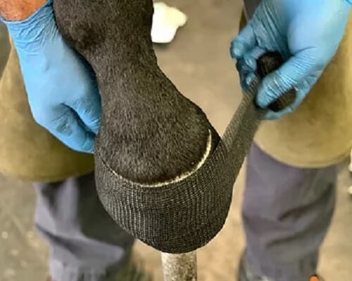 ComfortMix Hoof Cast – 2 Inches