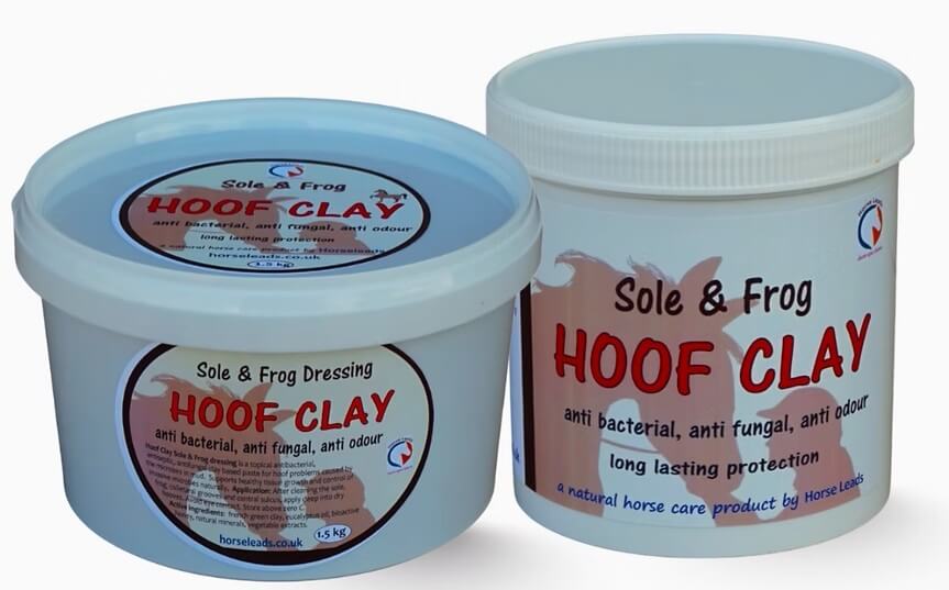 Horse Leads Hoof Clay