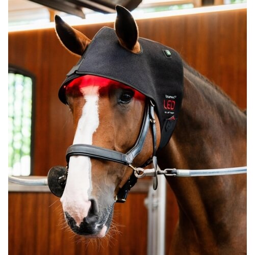 Horseware LED Red Light Therapy Poll Cap