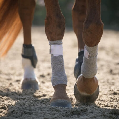 Incrediwear Equine Circulation Exercise Bandages - Pair | Charlies Products