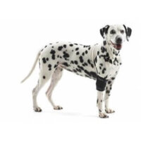 Kruuse Rehab Dog Elbow Protector / Elbow Brace
