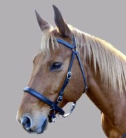 LightRider Leather Stockhorse Bitless Bridle