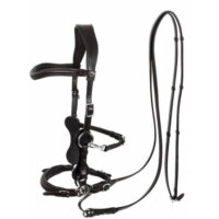 Calli Music Hackamore Bitless Bridle and Reins