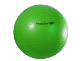 Jolly Mega Ball – 40″ Horse Ball