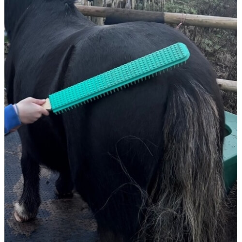 Parallax NimBrush Grooming Brush