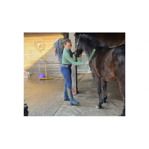 Parallax NimBrush Grooming Brush - Image 4