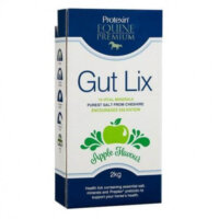Protexin Equine Premium Gut Lix / Salt Lick – 2kg