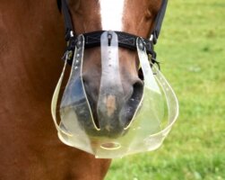 Thinline Flexible Filly Grazing Muzzle